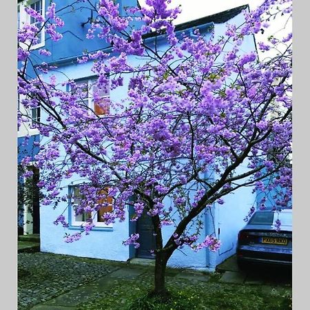 Albion Cottage 科克茅斯 外观 照片