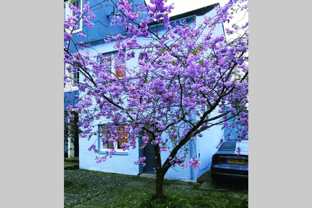 Albion Cottage 科克茅斯 外观 照片